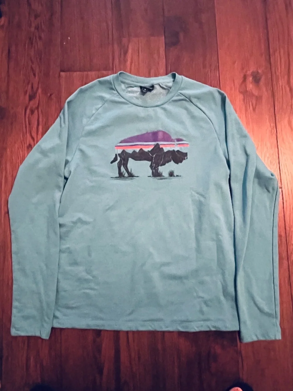 Patagonia Bison Sweatshirt
